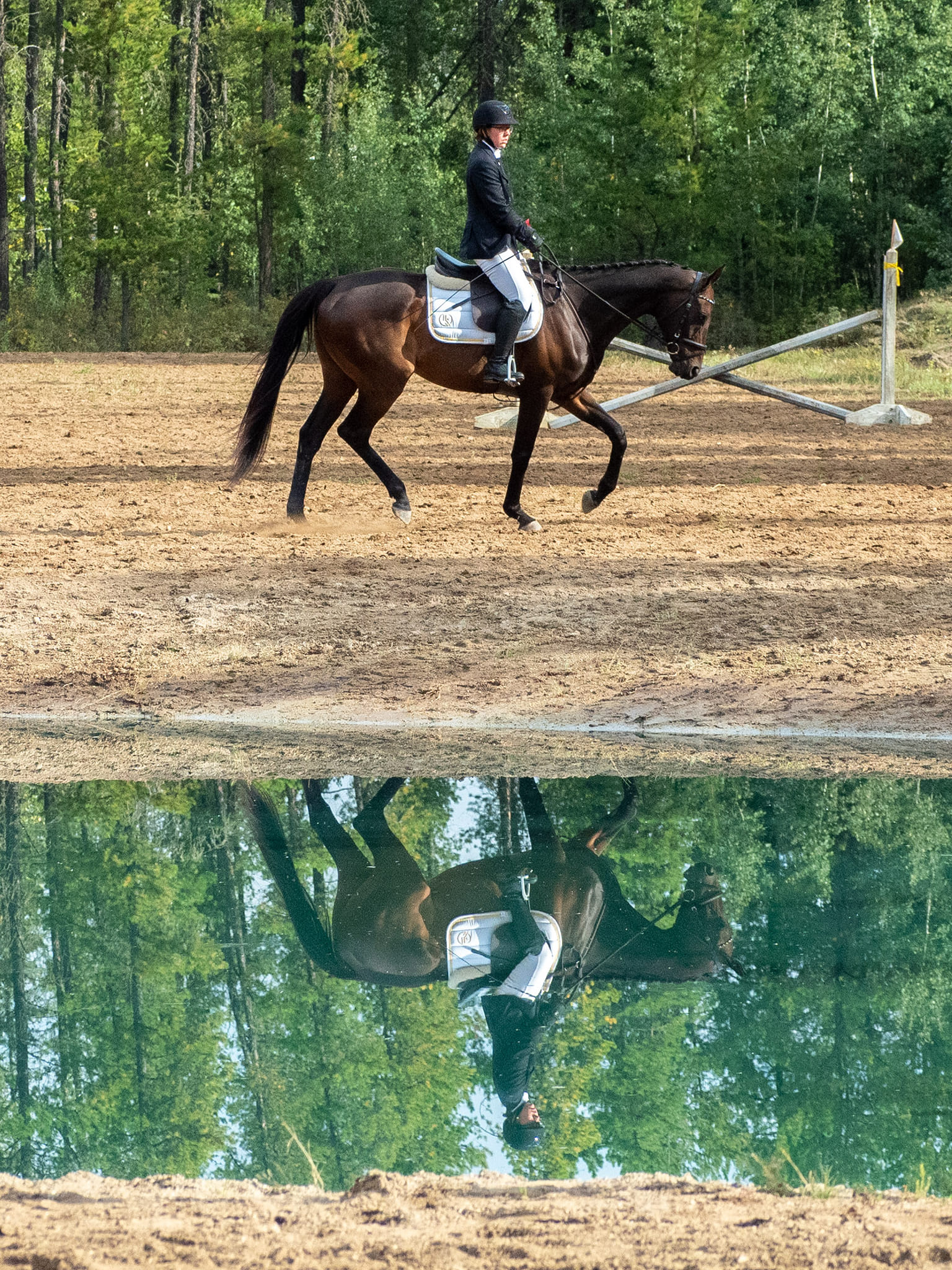 Horse and rider riding by a pond.