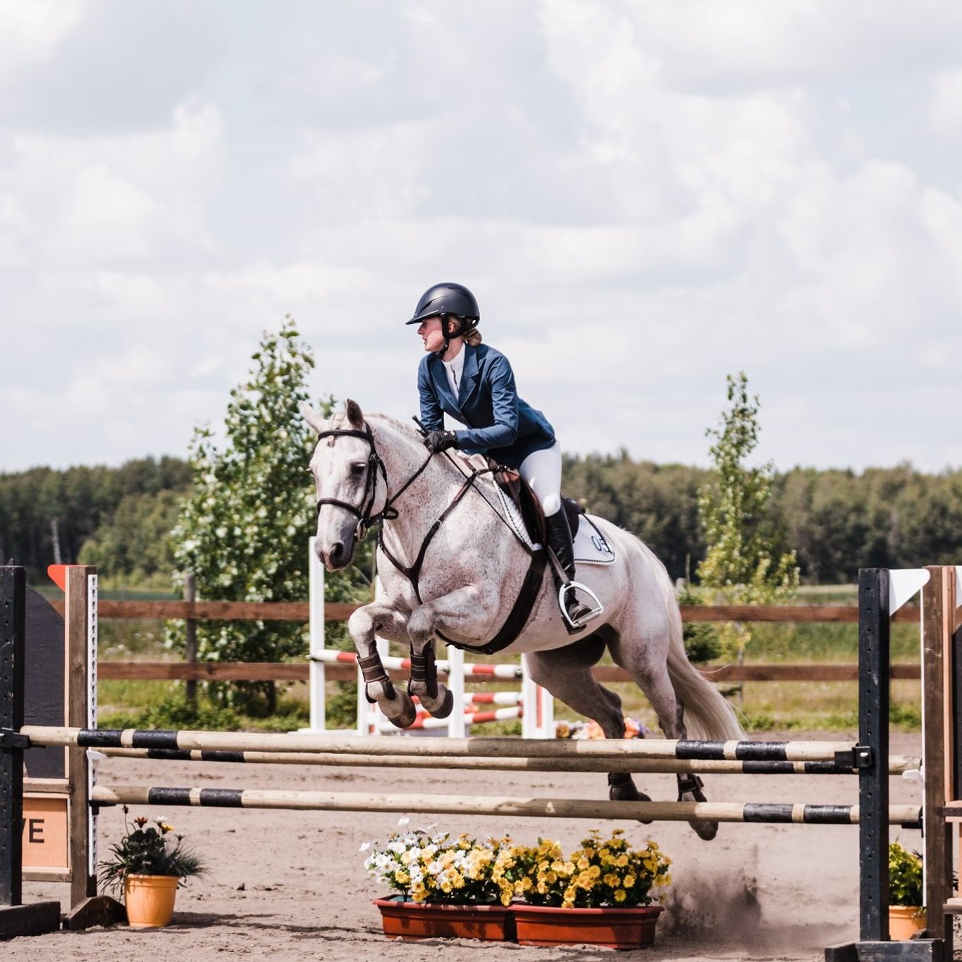 Rider and horse jumping over a show jump.