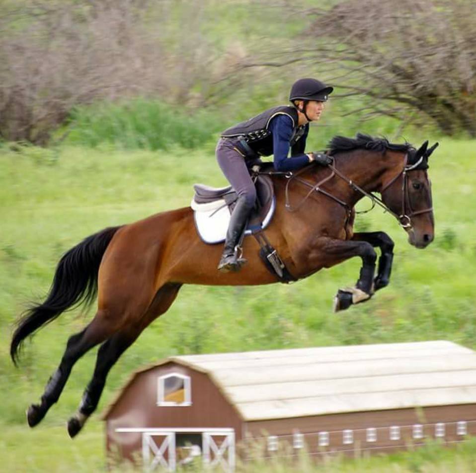 Rider and horse jumping over a barn jump.